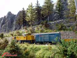 Die 242 befördert ein paar Güterwagen nach Reichenau-Tamins.